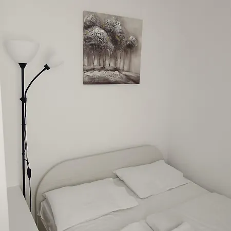 Gajic 兹拉蒂博尔