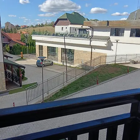 Gajic 兹拉蒂博尔