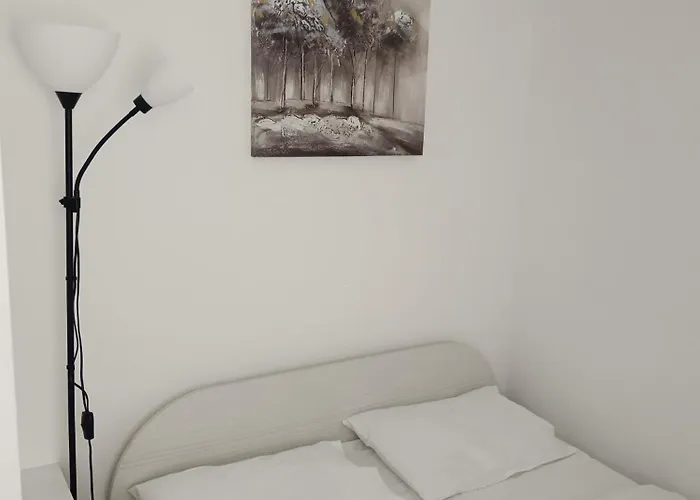 Gajic 兹拉蒂博尔